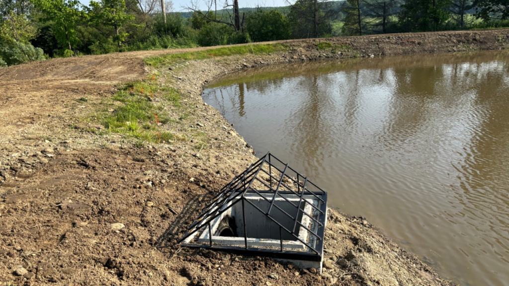 Overflow system installed on a pond.